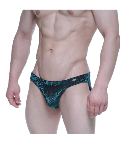 [M2W] Mild Bikini 比基尼三角內褲 cover